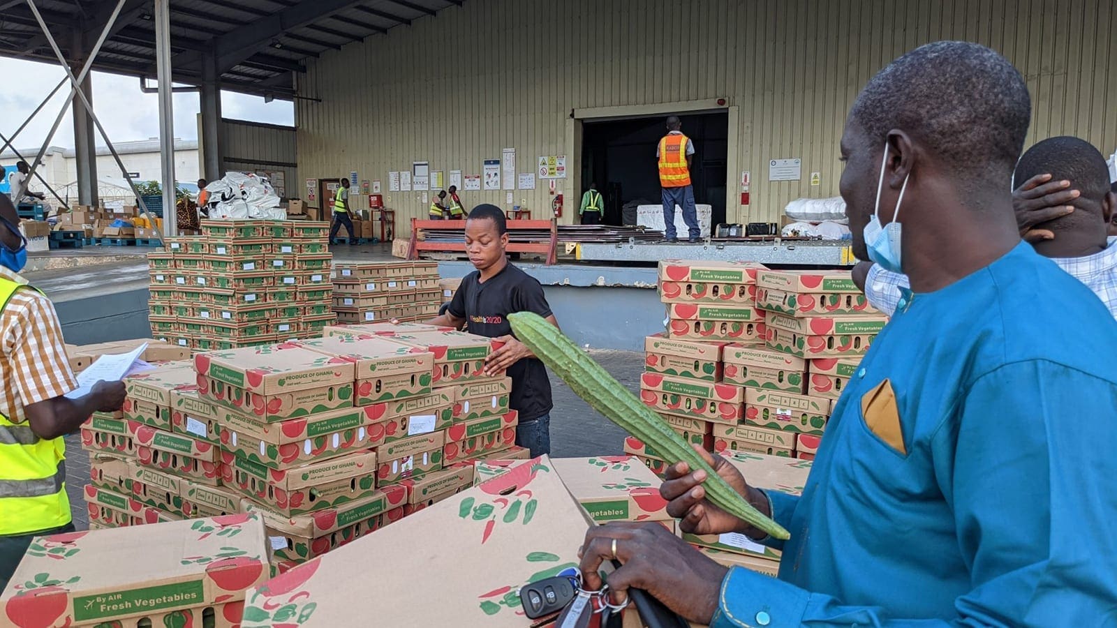 Thumbnail for South Africa enters lucrative Chinese lemon market expanding bullish citrus sector