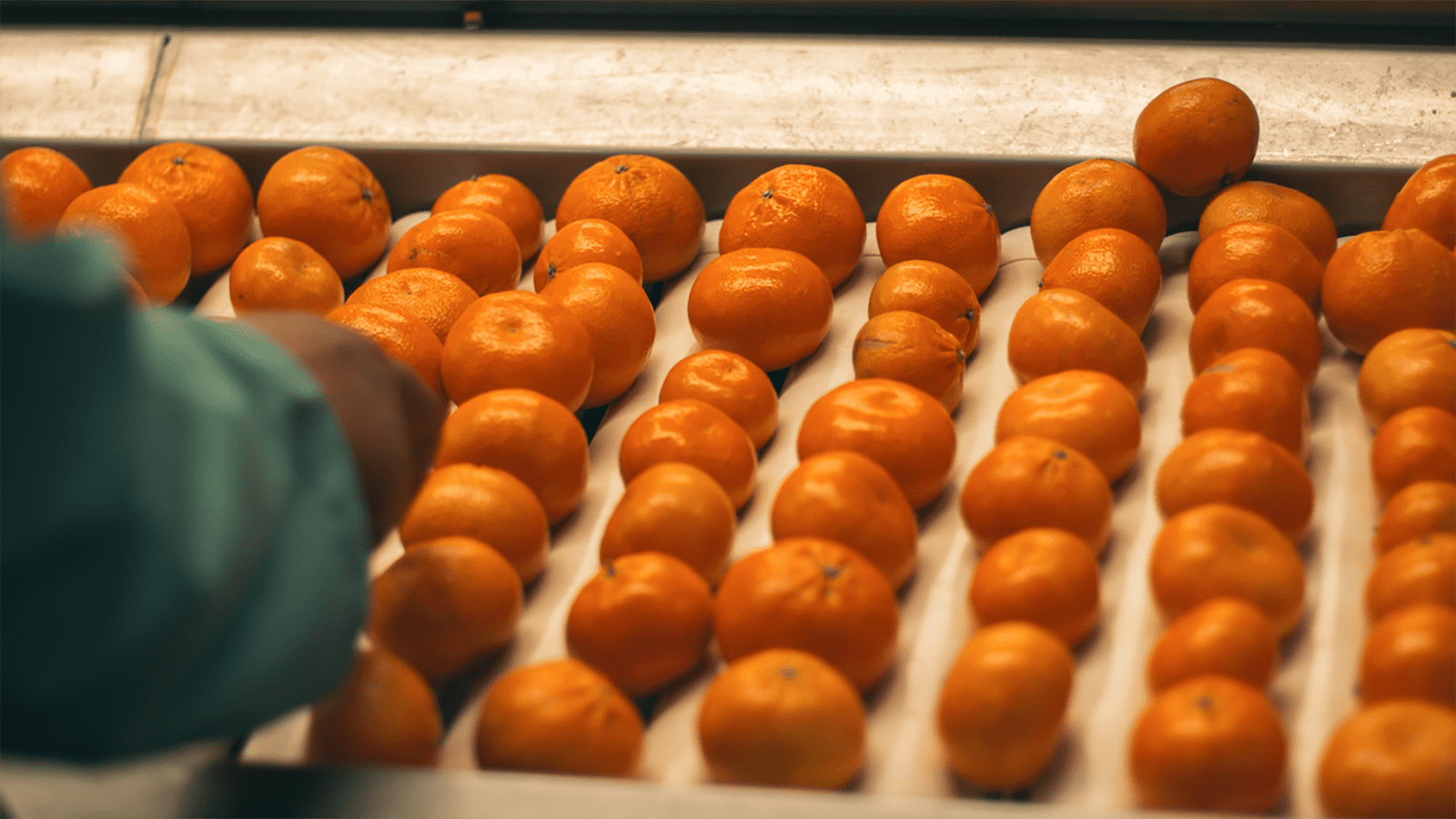 Thumbnail for San Miguel offloads SA based fresh fruit operations to Citri&Co alongside other international operations