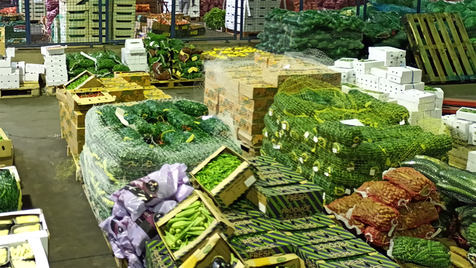 Thumbnail for Belmont Farm leads pack in gaining KS1758 horticulture industry certification