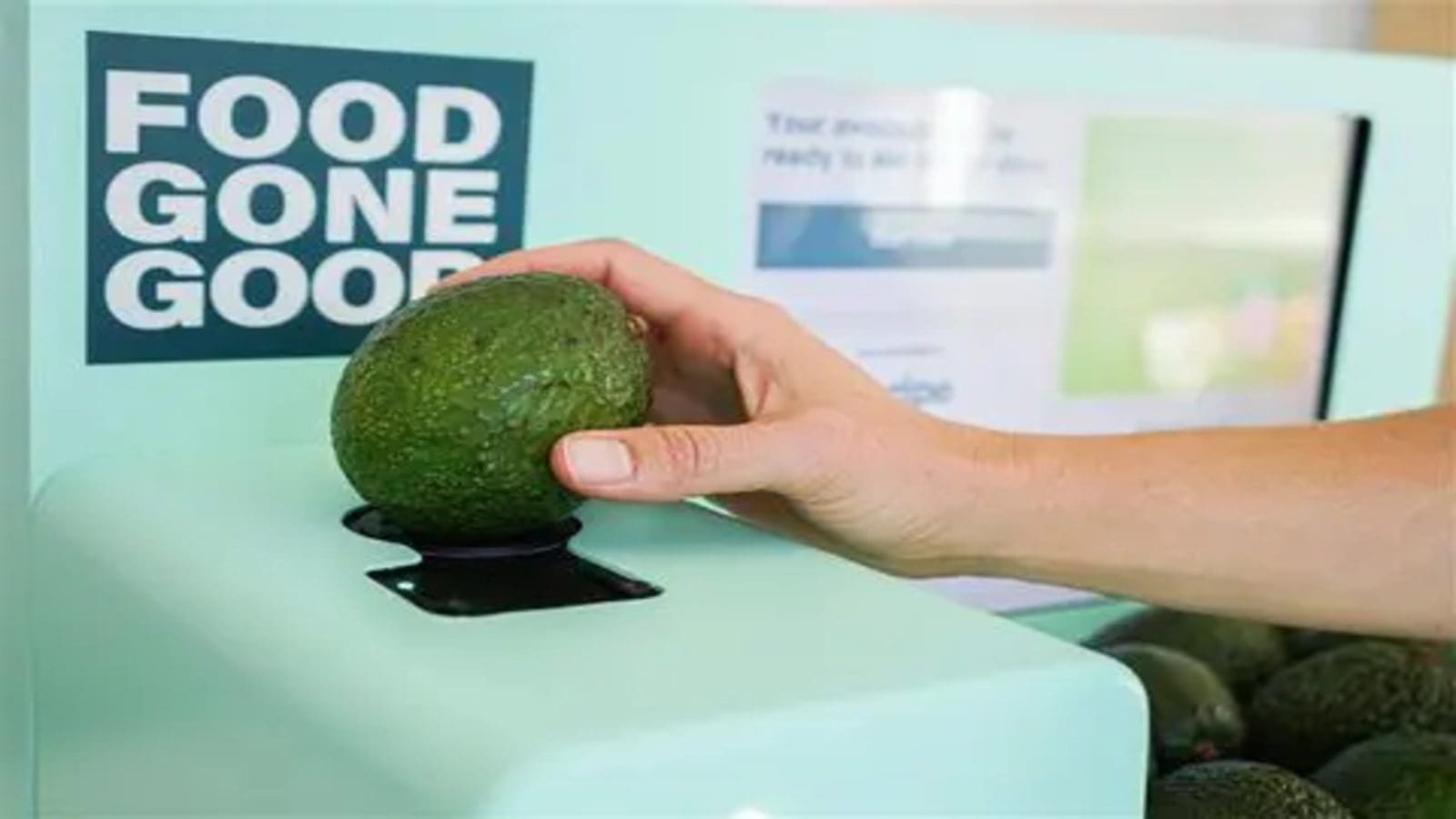 Thumbnail for <strong>Food Ingredients specialist Kerry partners with Concern to establish Kenya’s mango value chain in ASAL region</strong>