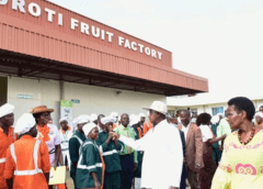 Thumbnail for Egypt restores status as largest mango exporter to Saudi Arabia