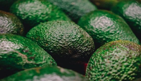 Thumbnail for Kenya’s Fruitbox appointed as exclusive EA Zespri agent 