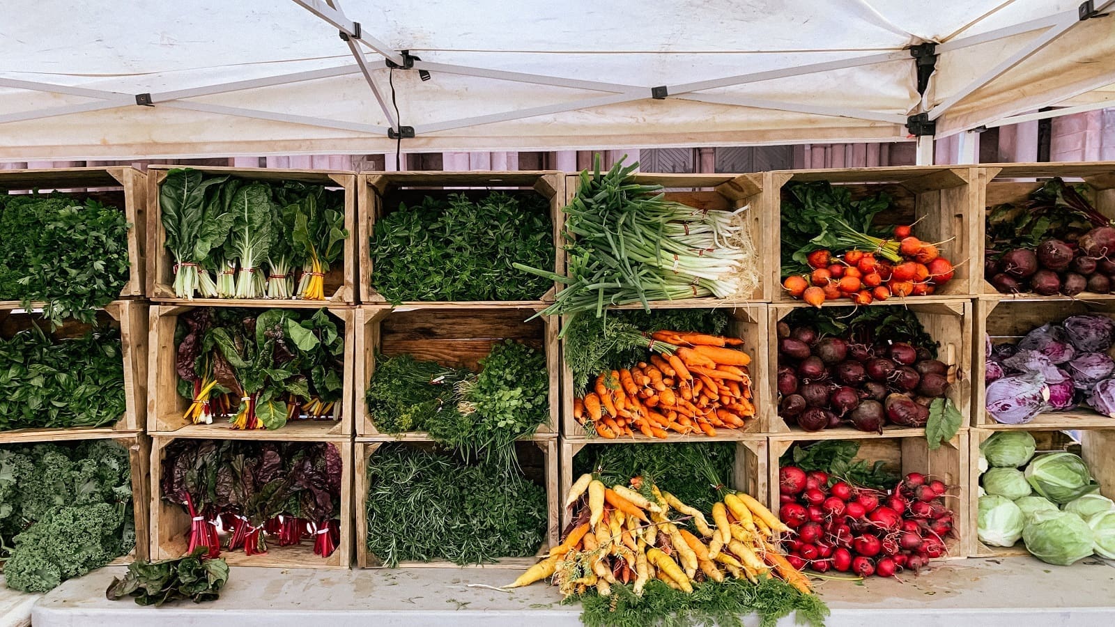 Thumbnail for GAIN launches Vegetables for All initiative to encourage healthy eating