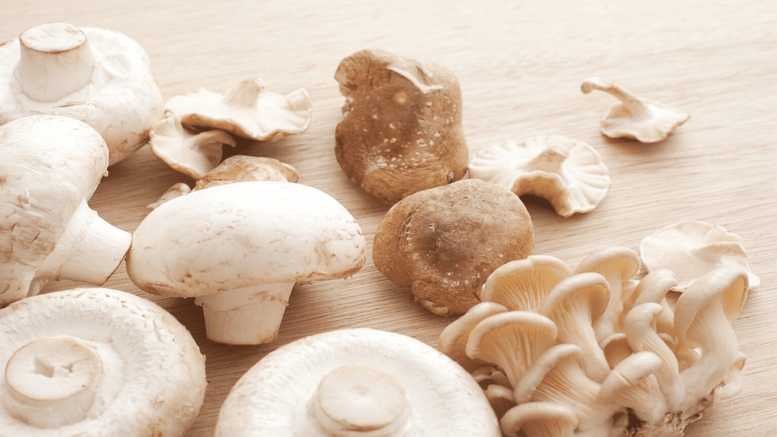 Thumbnail for Cameroon unveils plans to boost edible mushroom production