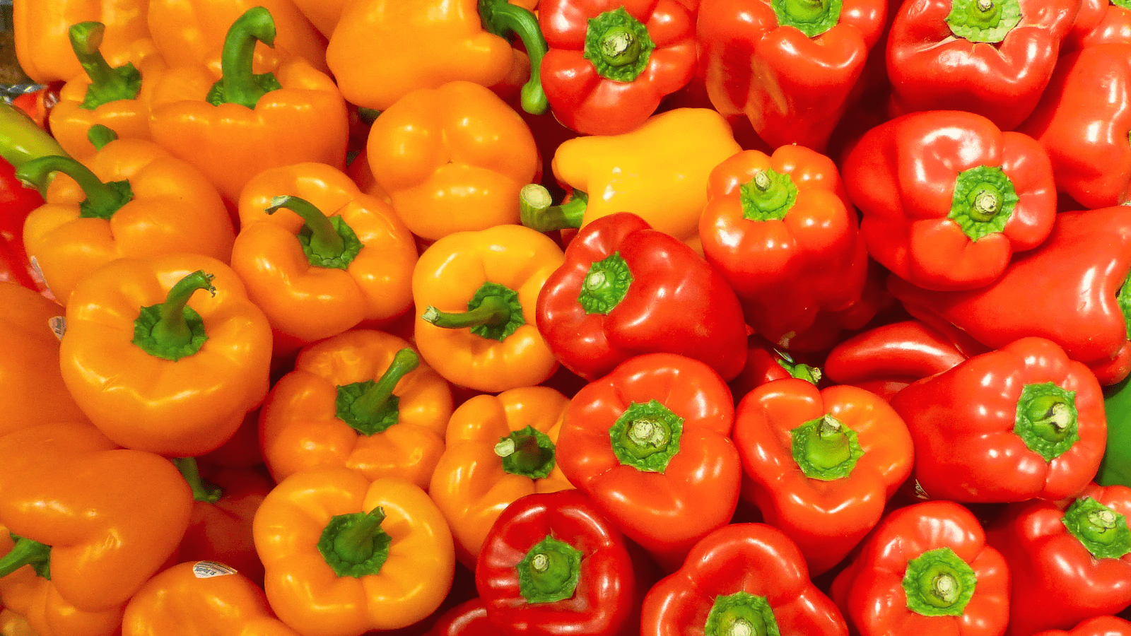 Thumbnail for Veg Power teams up with nutrition experts on a public health campaign