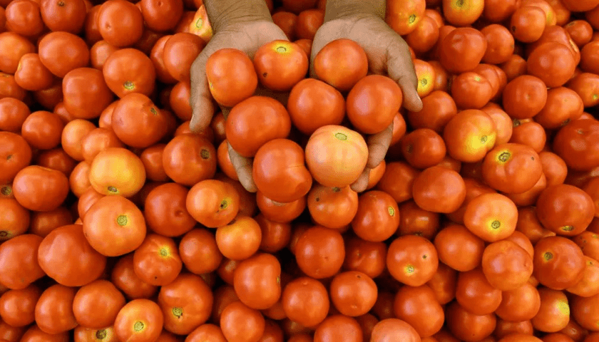 Thumbnail for Tomato, Bean prices surge over 300% in Nigeria: NBS Report