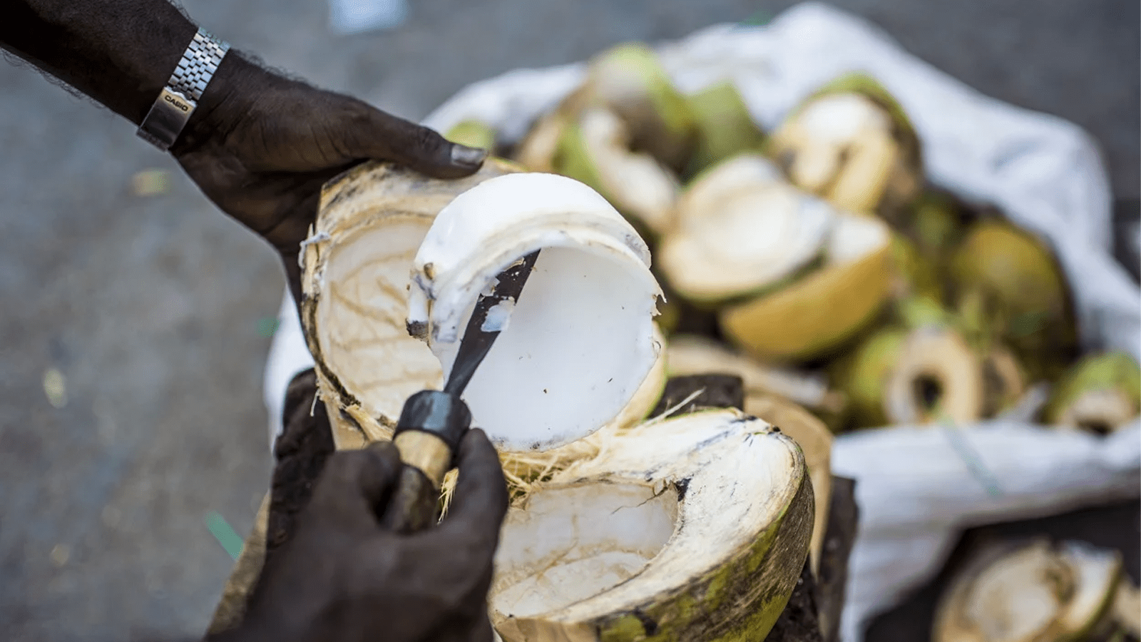 Thumbnail for Kakuzi receives five nominations at the Kenya Avocado Industry Excellence Awards 2023