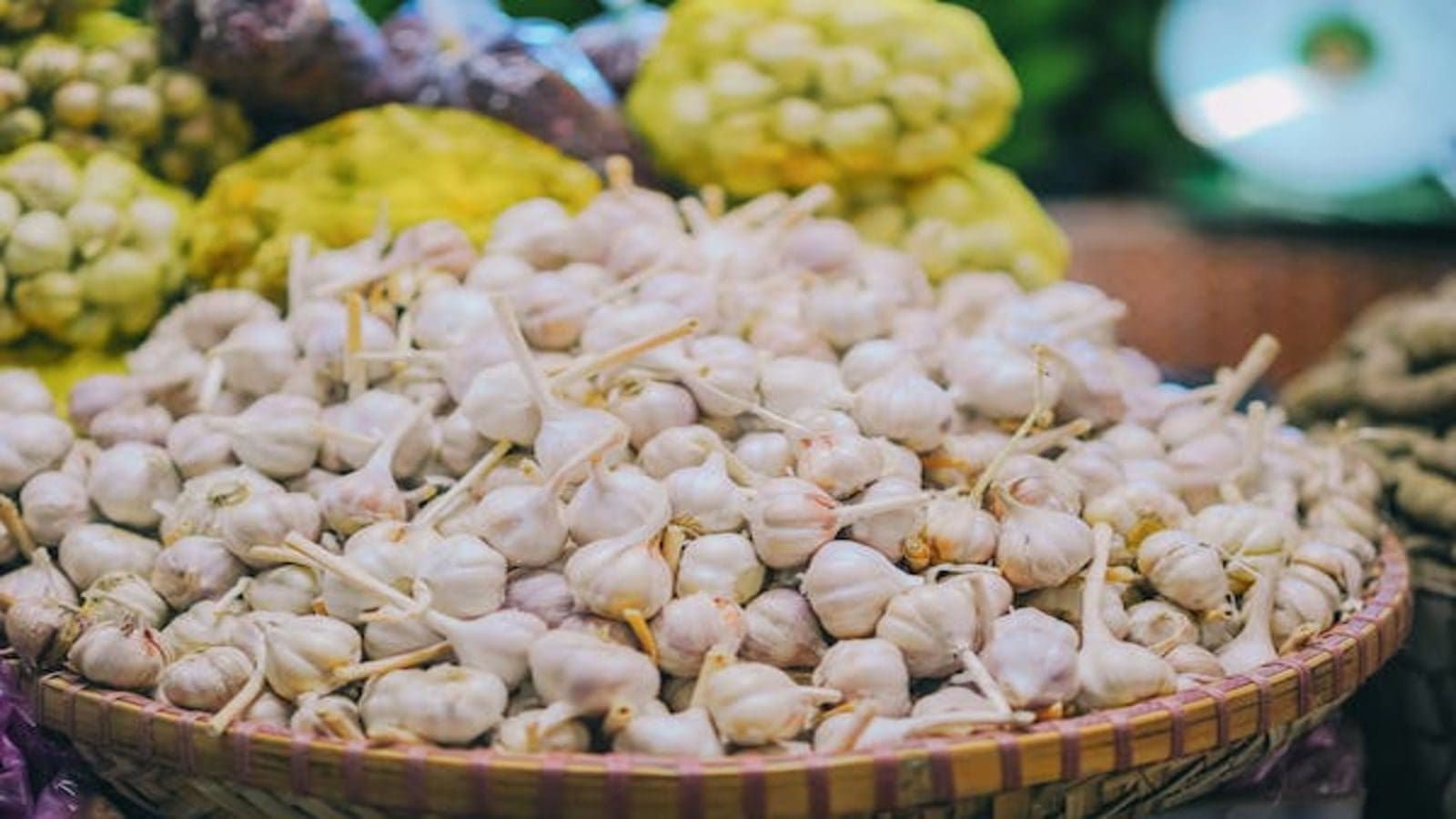 Thumbnail for Uproar as Moroccan garlic prices surge with experts foreseeing prolonged highs
