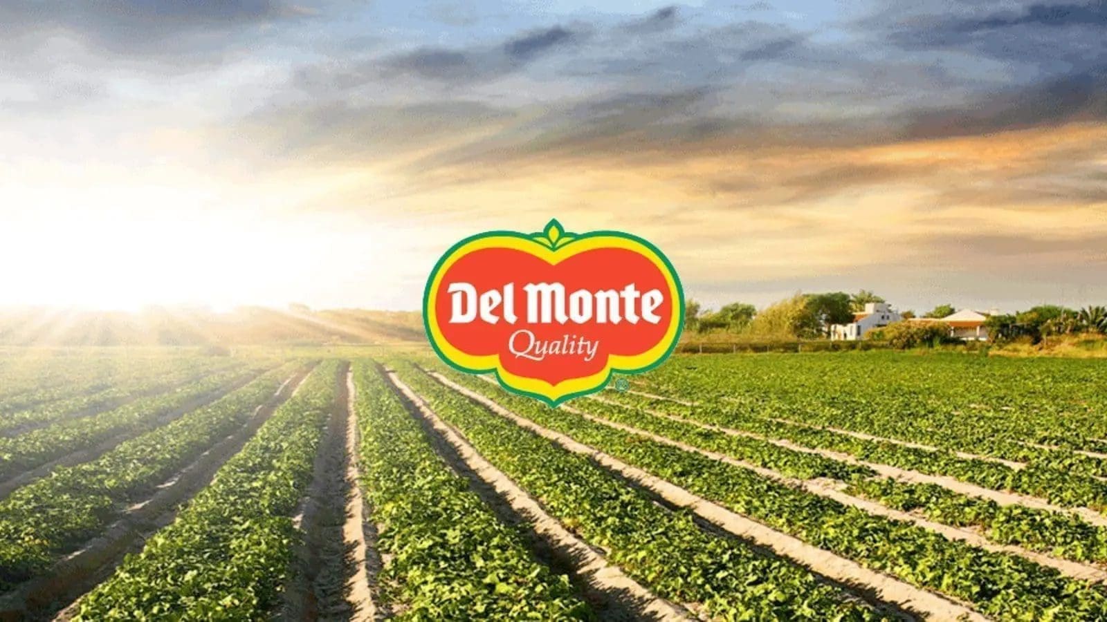 Thumbnail for Fresh Del Monte reports resilient financial performance in FY 2023