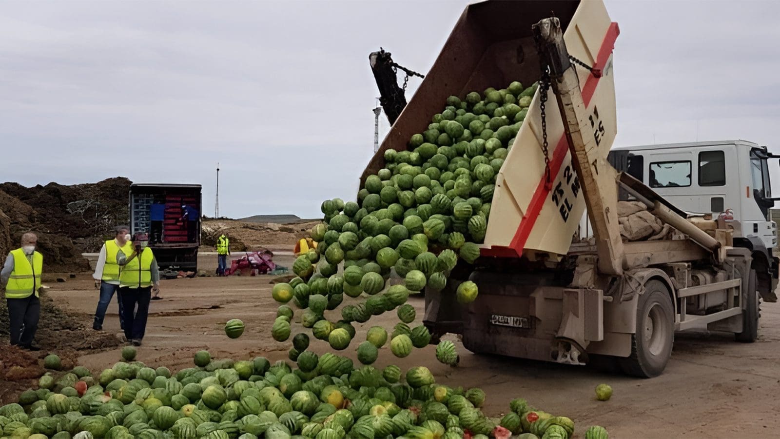 Thumbnail for ReelFruit, US government celebrate inauguration of Nigeria’s largest dried fruit facility