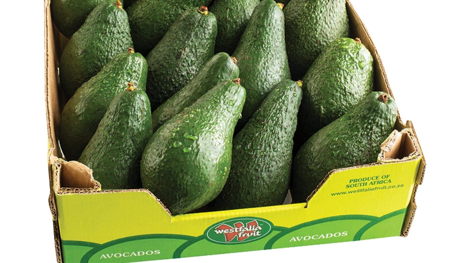 Thumbnail for Westfalia Fruit welcomes first-ever sea shipment of Kenyan avocados to India