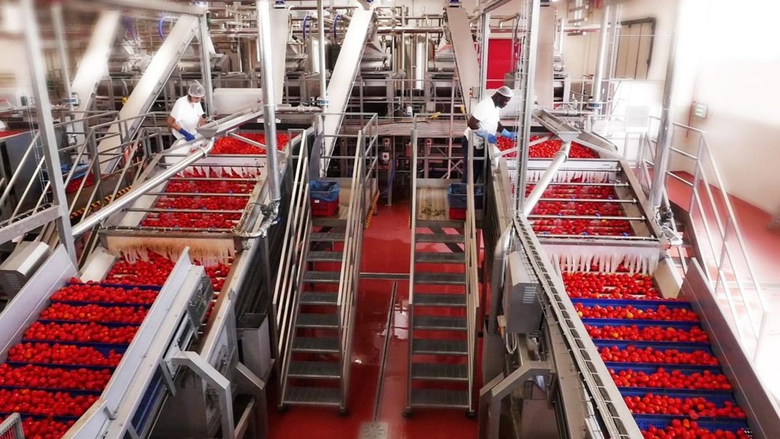Thumbnail for New Enset processing machine unveiled in Ethiopia’s drive for food system transformation