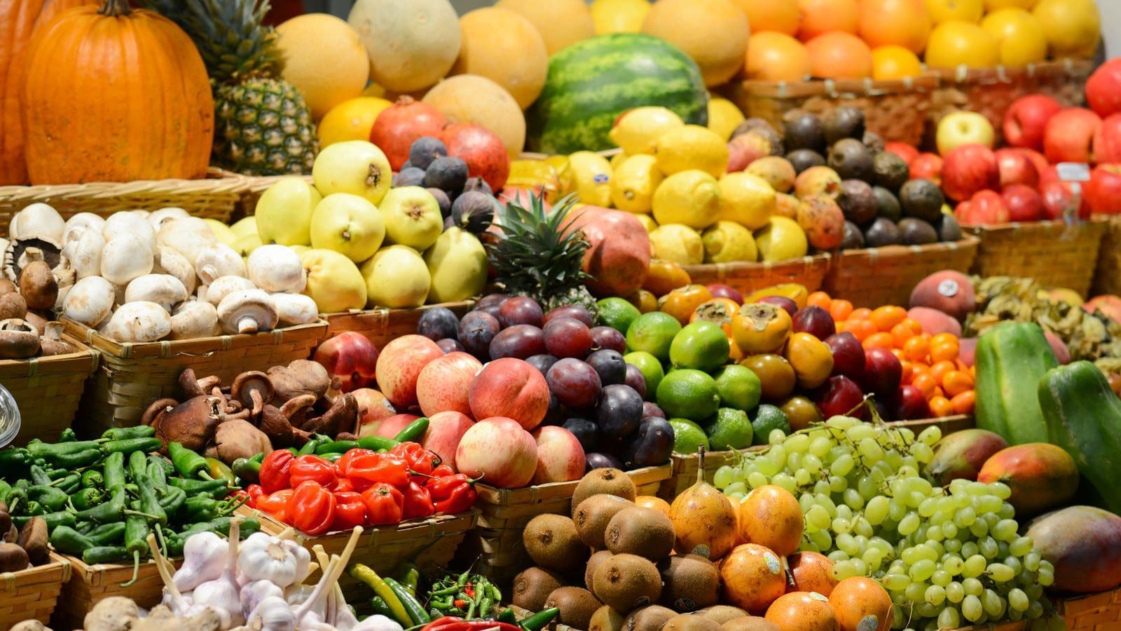Thumbnail for KwaZulu-Natal’s largest berry farm up for auction