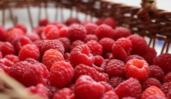 Thumbnail for Kenya’s pesticide regulation faces misinformation threat in export market