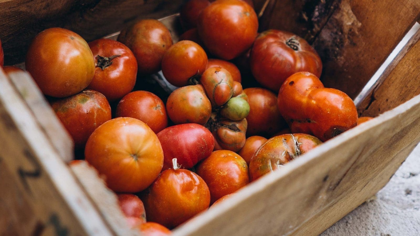 Thumbnail for Ethiopia leverages technology to boost horticultural export quality