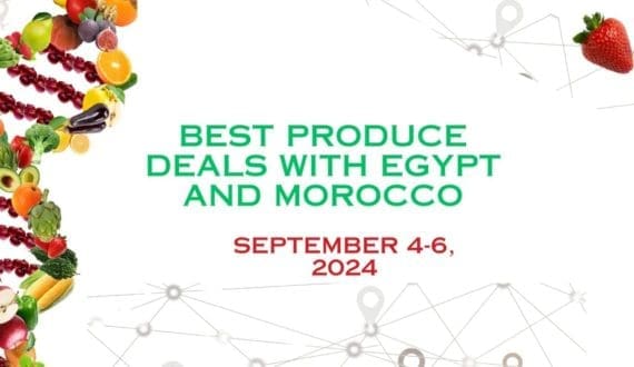 Thumbnail for Burundi seeks direct partners for avocado expansion