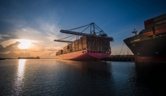Thumbnail for Tanzania to unlock USD 3.5B in export potential with market access for eight key crops