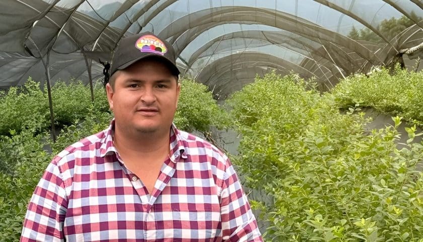 Thumbnail for Berries Paradise appoints César Ortiz as new CEO