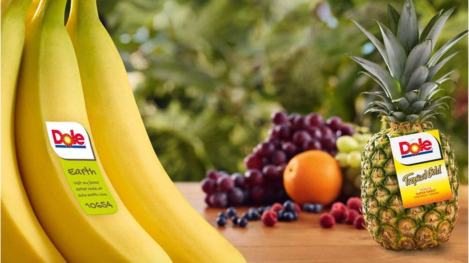 Thumbnail for Eden Research secures Germany’s approval for biofungicide Mevalone