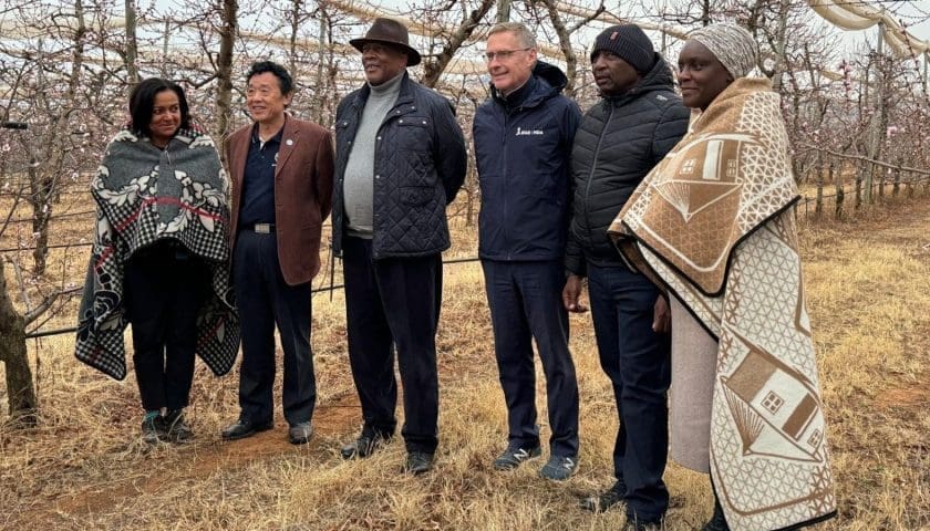 Thumbnail for UN to strengthen investment in Lesotho’s agricultural sector