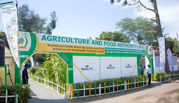 Thumbnail for Tanzania to unlock USD 3.5B in export potential with market access for eight key crops