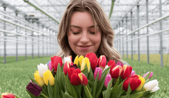 Thumbnail for IBO report highlights global blueberry industry’s path to recovery in 2024