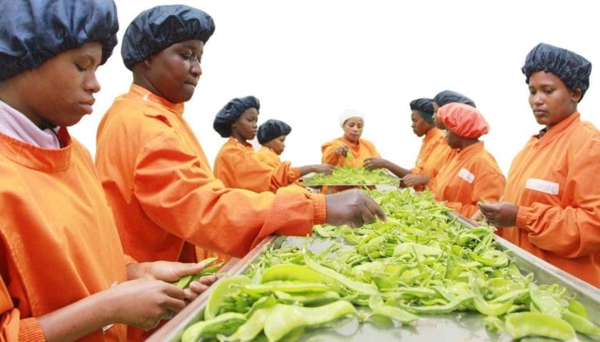 Thumbnail for Tanzanian exporters secure USD 2.8M deal to supply UK with fresh produce