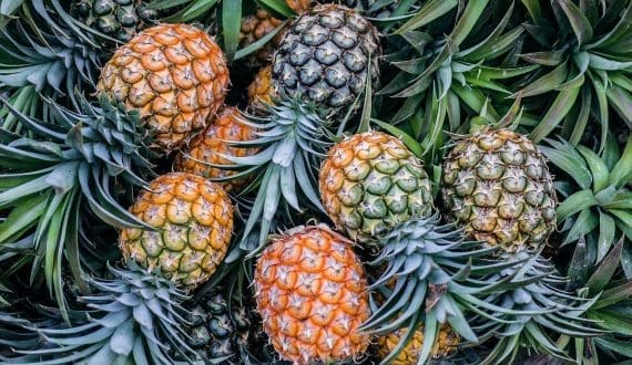 Thumbnail for Senegal suspends onion imports to boost domestic sales