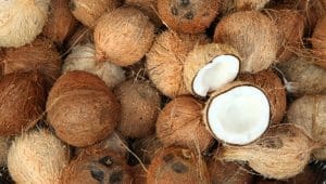 Red Sea crisis spurs demand for Ivorian coconuts