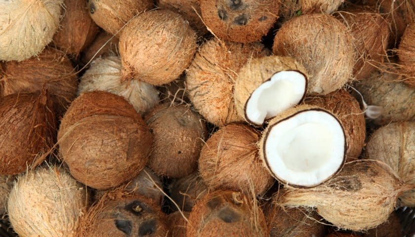 Thumbnail for Red Sea crisis spurs demand for Ivorian coconuts
