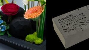 Smithers-Oasis launches new plant-based floral foam