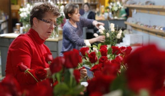 Thumbnail for Blackmore introduces Plant-It-Friendly Program to cut plastic waste in horticulture