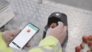 Dutch start-up introduces AI quality control to reduce food waste