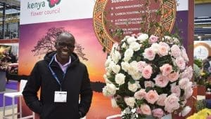 Kenyan flower industry pushes for sustainability amid growing challenges