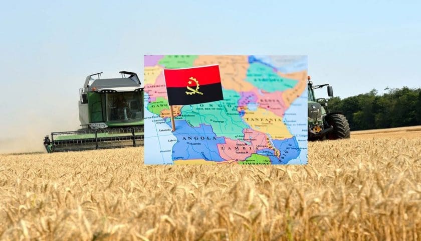 Thumbnail for Chinese firms deepen Angola ties with US$350M in grain investments