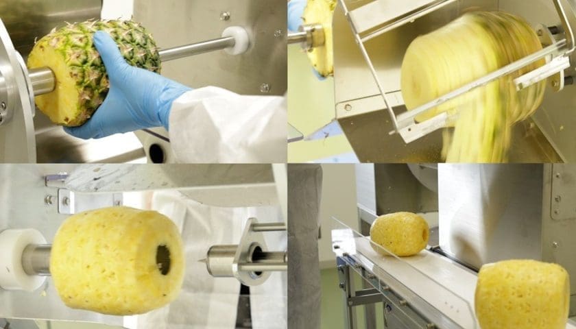 Thumbnail for Astra to launch high-speed pineapple peeler and corer for industrial market