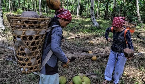 Thumbnail for ICRISAT pilots AI climate advisory in Maharashtra to support smallholder farmers