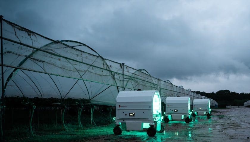 UK strawberry growers turn to AI and robotics to boost yields