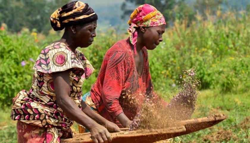 Thumbnail for AGRA report highlights country-led efforts to build stronger food systems