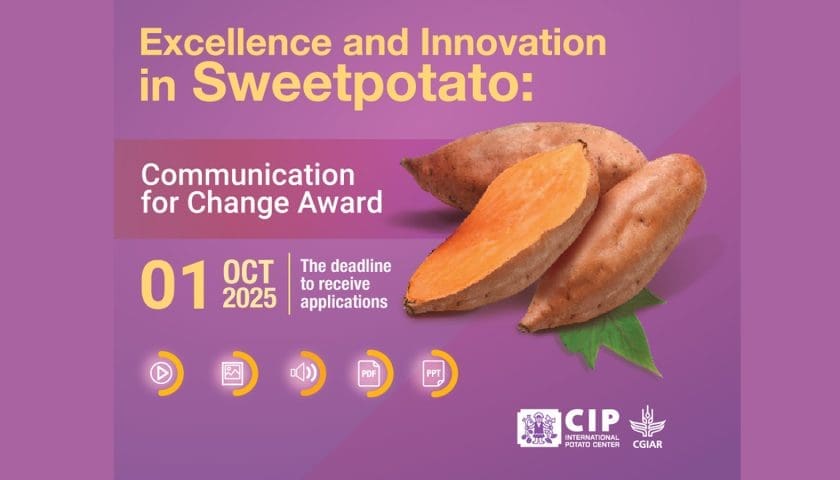 Thumbnail for Call for entries: 2025 Sweetpotato Communications Award now open