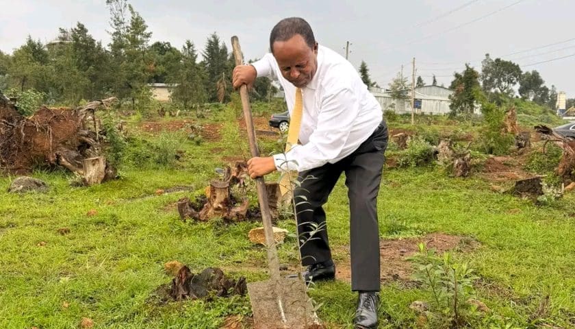 Thumbnail for Ethiopia plants 714.7M trees in one day, setting global record