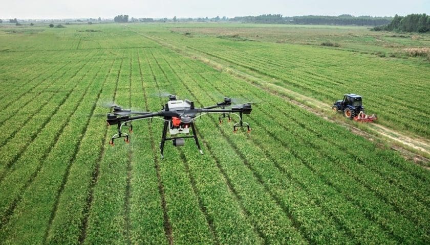 Thumbnail for Hungary’s 4D crop model offers real-time insights for smarter farming