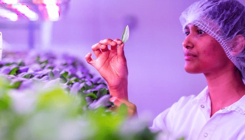 Thumbnail for Ljusgårda plants new direction in agritech with precision bioactive farming