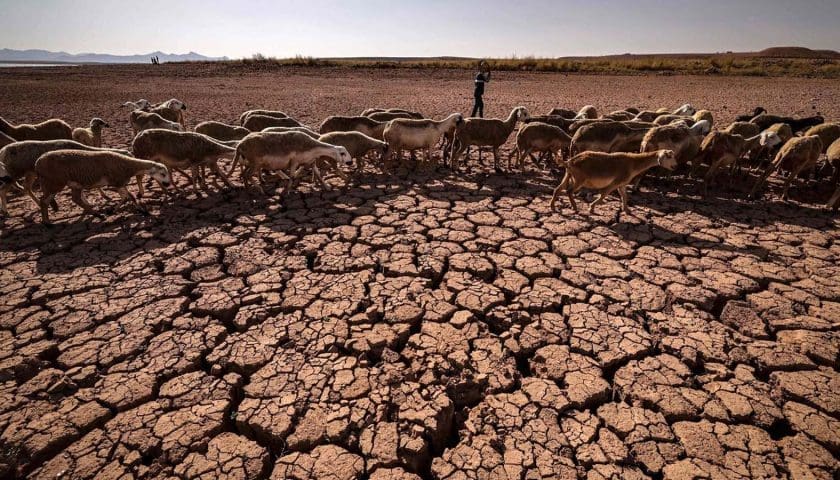 Thumbnail for Morocco’s drought forces 108,000 out of farm jobs as economy shifts to other sectors