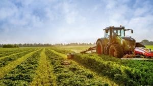 Nigeria deepens agro-industrial drive with launch of Oyo SAPZ