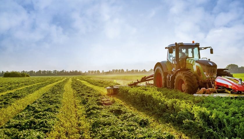 Thumbnail for Nigeria deepens agro-industrial drive with launch of Oyo SAPZ