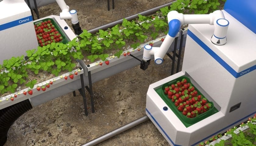 Thumbnail for South Korean agri-robotics startup secures over US$2M for AI farm robot