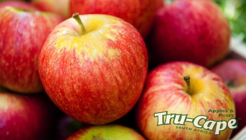 Thumbnail for Western Cape apple, pear sector faces US$57M loss from port delays